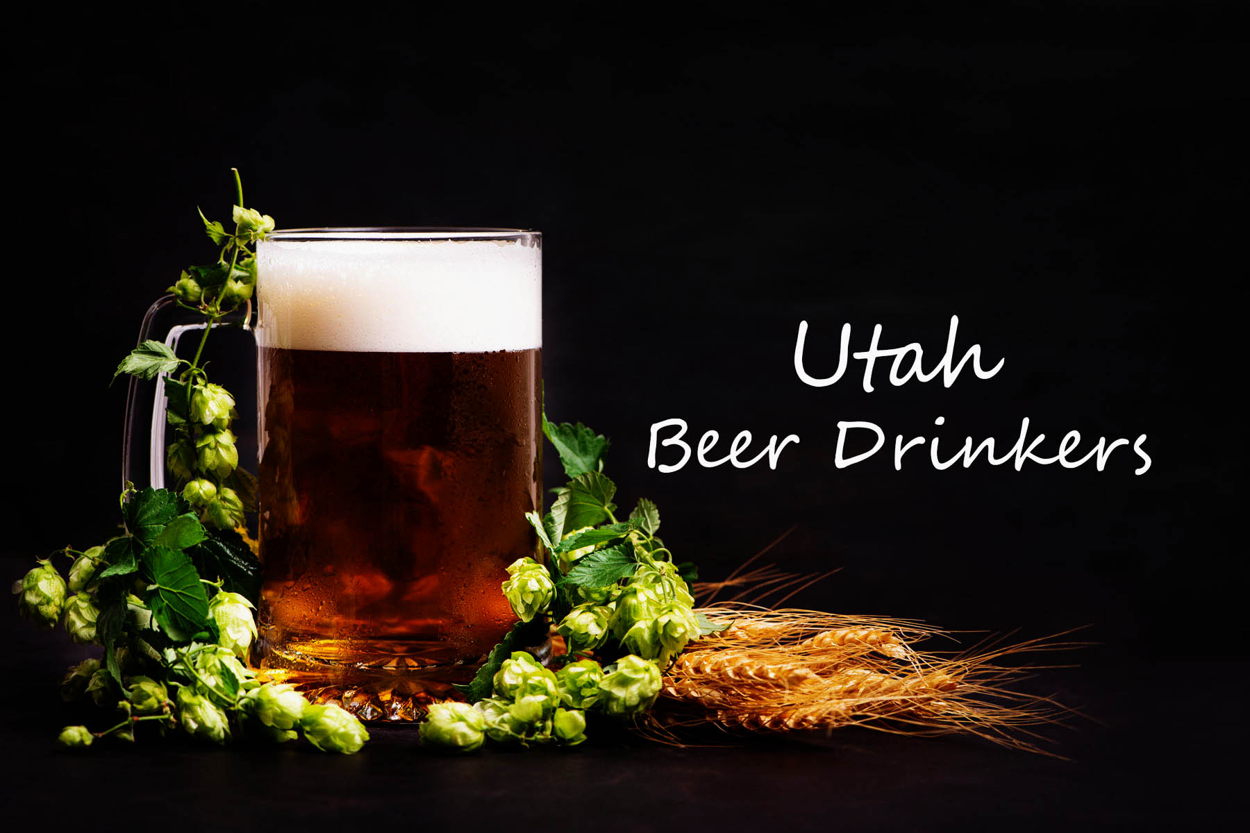 Utah Beer Drinkers